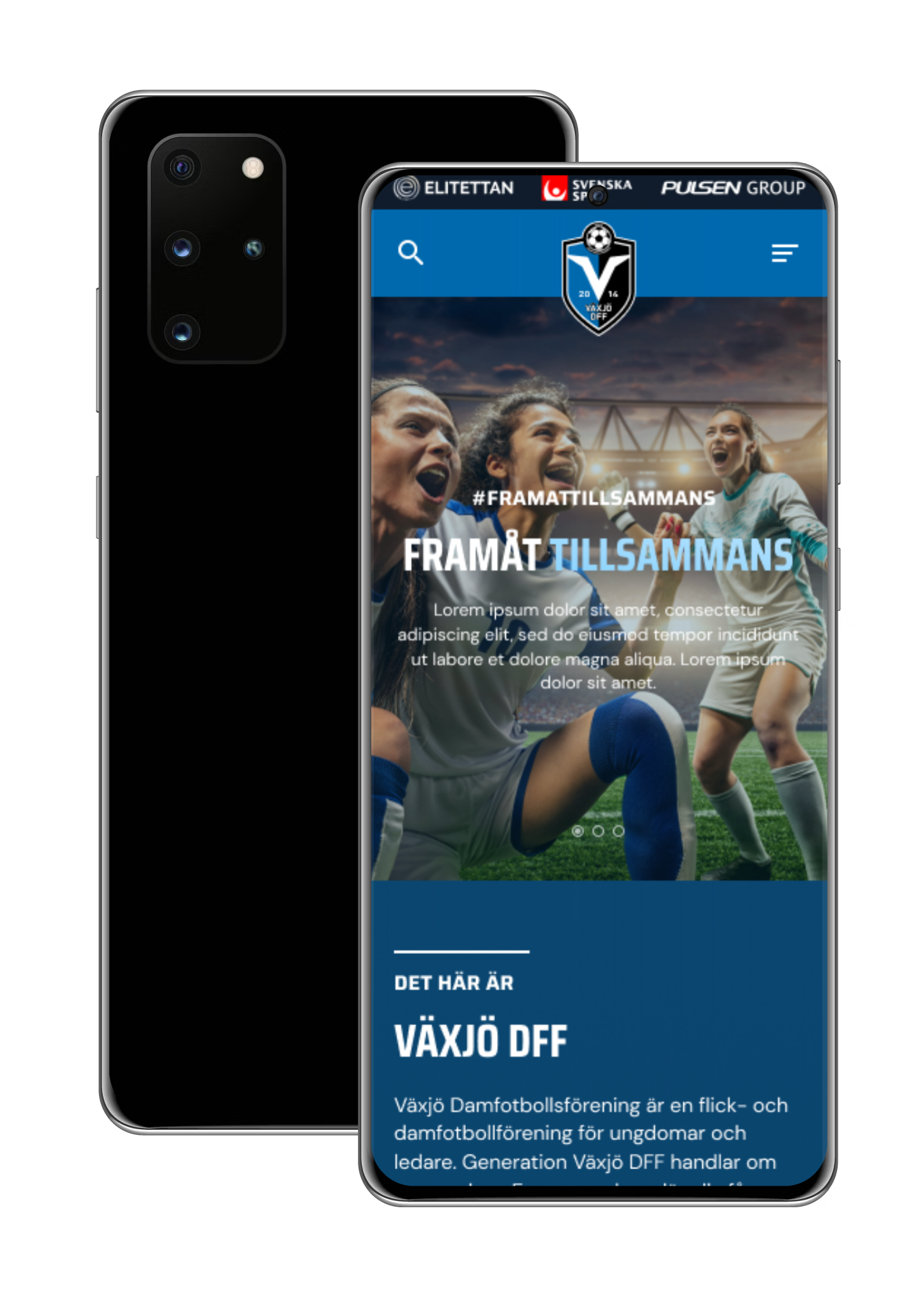 VDFF Website Redesign mockup
